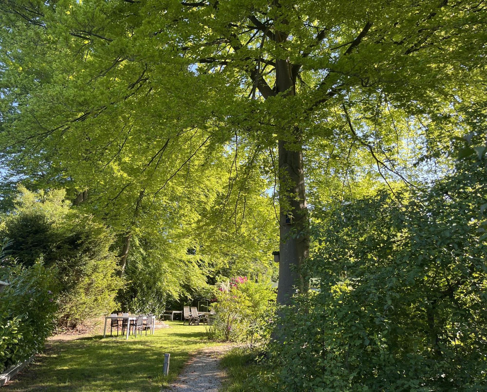 Bungalowpark De Bremerberg Biddinghuizen Rom bilde